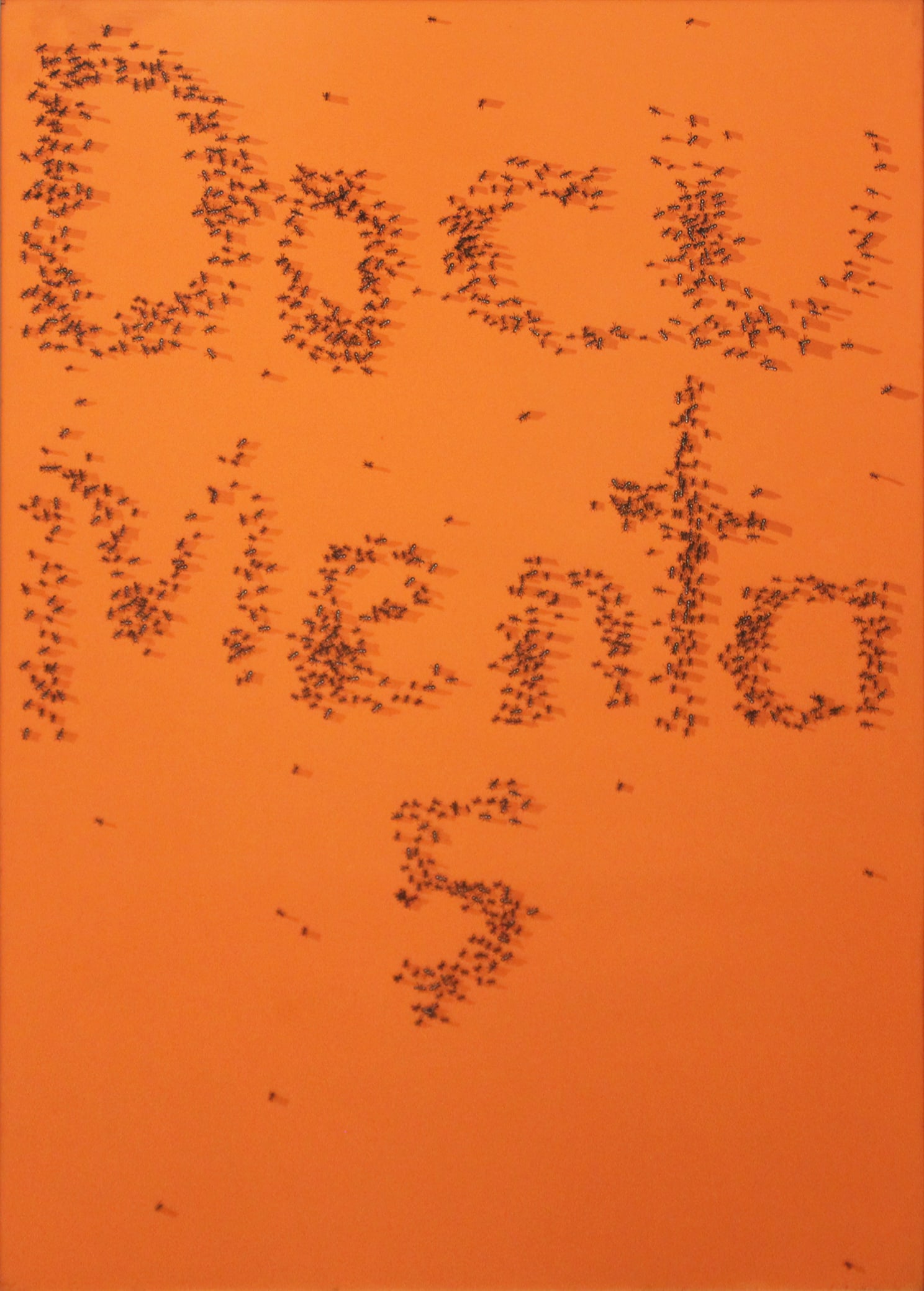 Ed Ruscha: Documenta 5 (Engberg 66), 1972: Ed Ruscha Documenta 5 (Engberg 66), 1972 Color Screenprint on wove paper From the numbered edition of 150 Signed, dated, numbered on recto From the collection of Tamara Thomas Image: 32 7/8 x 23 3/8 i