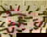 item-1412246=1