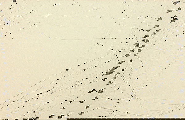 Minjung Kim Interchange: 2002, Mixed media on rice paper, Signed and dated in pencil on recto; Stamped in red on recto, Image: 28 ¾ x 46 ½ inches; Framed: 22 x 31 ½ inches