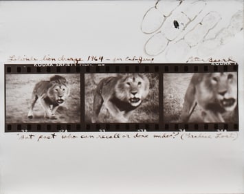 Peter Beard: Loliondo Lion Charge, 1964, Printed Later