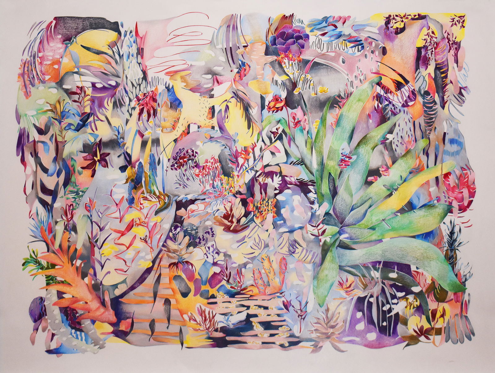 Sarah Ann Weber (1988): Desert post-drought, 2017 (1 of 3)