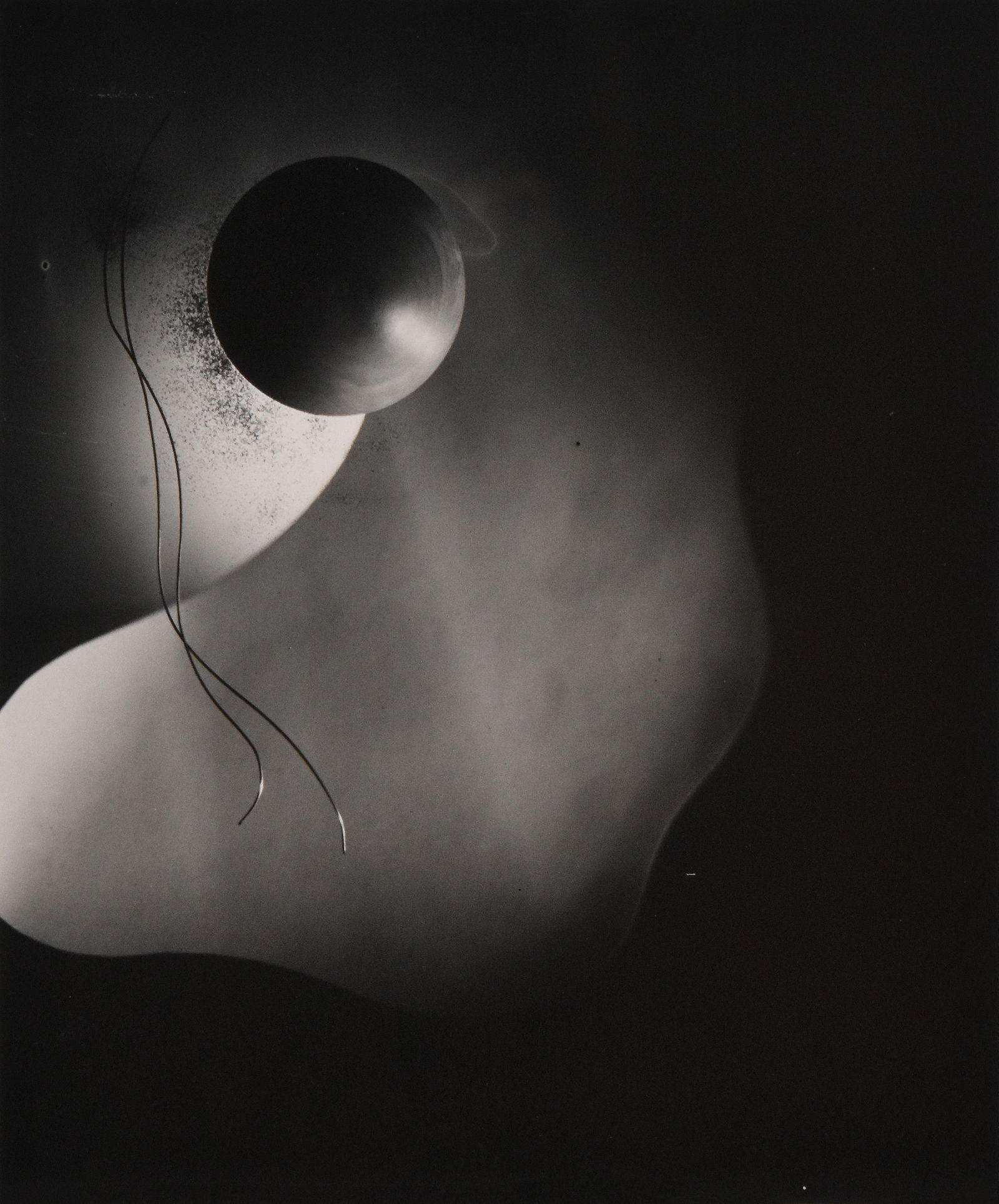 Kenro Izu (1949): Still Life: Kenro Izu (1949) Still LifeGelatin Silver PrintArtist Proof ¾ Signed/numbered by artist in pencil on verso Provenance: Rose Gallery, Santa Monica CA, tag on versoImage: 9.5 x 8 in; Framed: