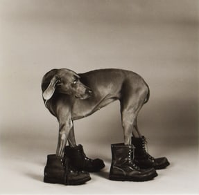 William Wegman (1943): Untitled (Faye Ray in Boots), 1988