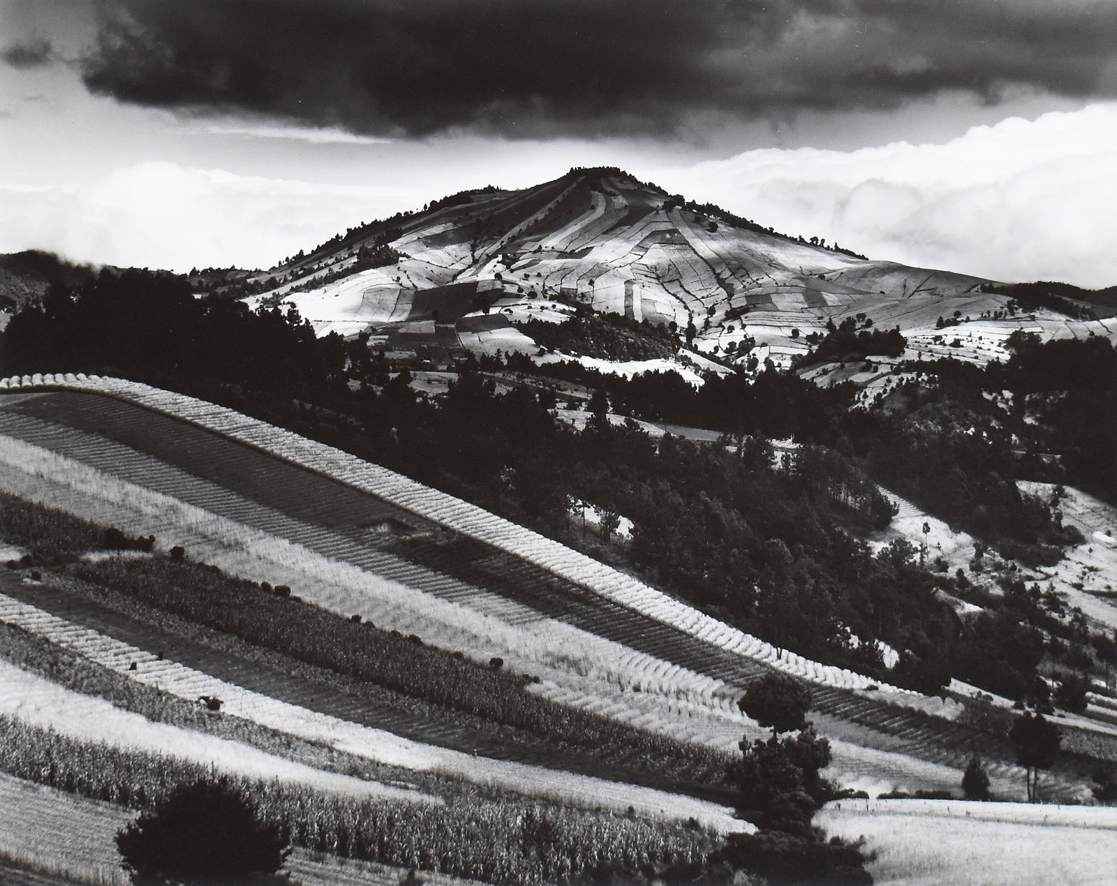 Brett Weston (1911-1993): Guatemala Landscape, 1968: Brett Weston (1911-1993) Guatemala Landscape, 1968 Gelatin silver print Vintage photograph From the collection of Bruce Brown Signed on recto Image: 15.5 x 19.378 in Framed: 26 x 28.75 in