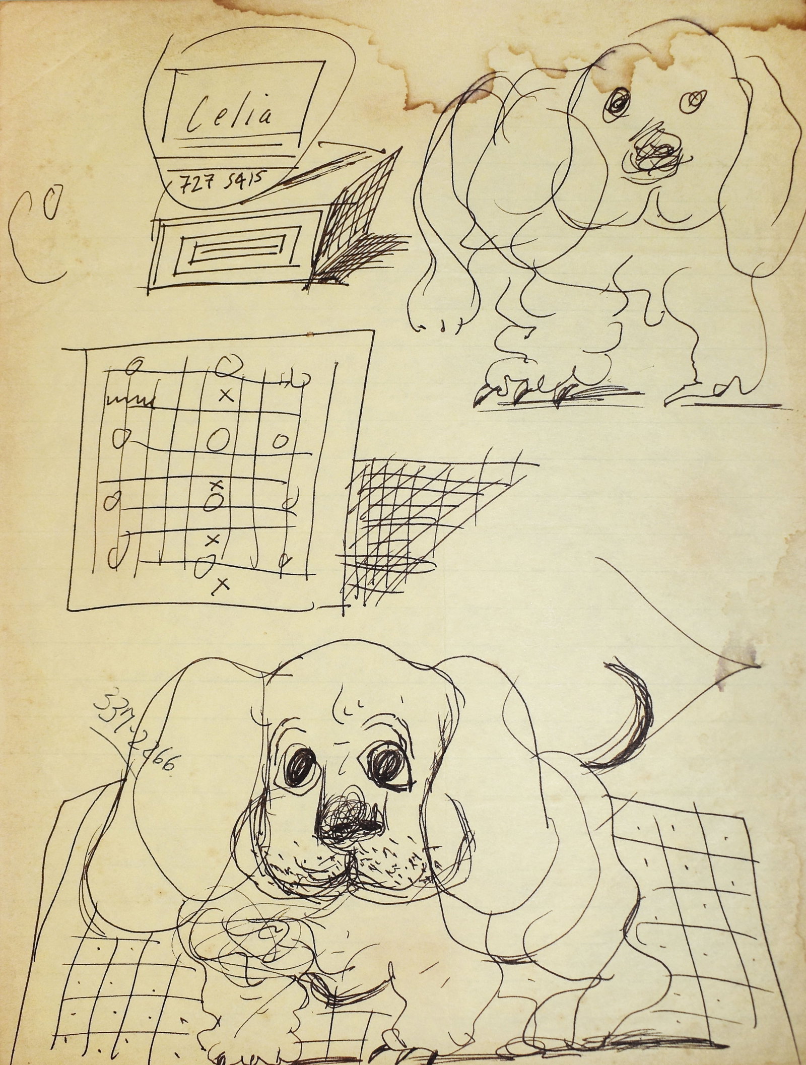 Attributed to David Hockney (1937-2026): Untitled (Study of Large Little Stanley), c. 1986-87: Attributed to David Hockney (1937-2026) Untitled (Study of Large Little Stanley), c. 1986-87 Pen on paper Annotated "Celia" on recto Provenance: From the collection of Vintage Animation Gallery; From 