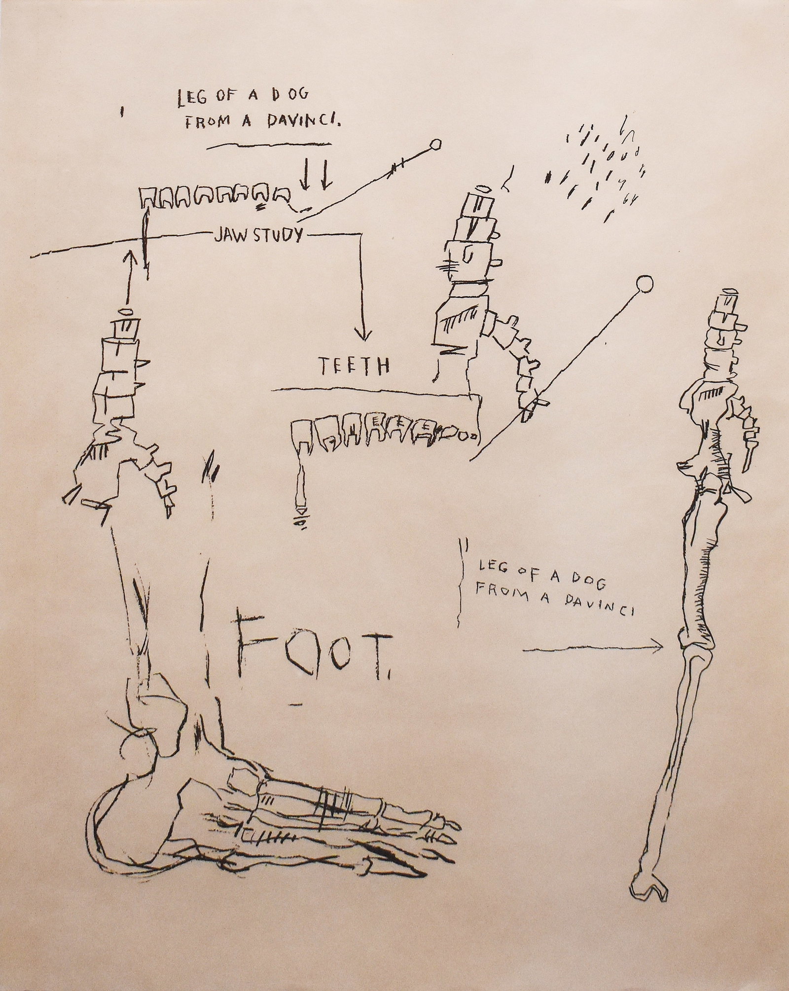 Jean-Michel Basquiat (1960-1988): Leg of the Dog, 1983: Jean-Michel Basquiat (1960-1988) Leg of the Dog, 1983 Screenprint on Okawara paper Unsigned proof (aside from the edition of 20), with the blindstamp Publisher/Printer: New City Editions, Venice, CA S