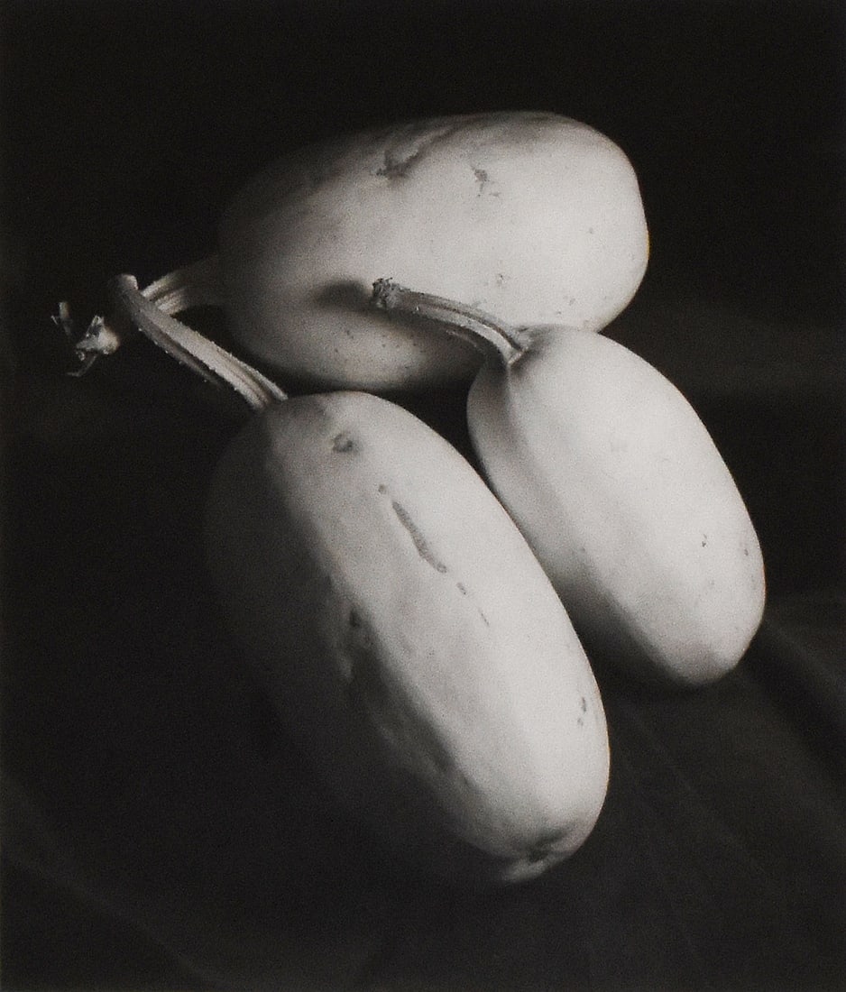 Susan Steffy: Squash on Black, 1979 (1 of 4)