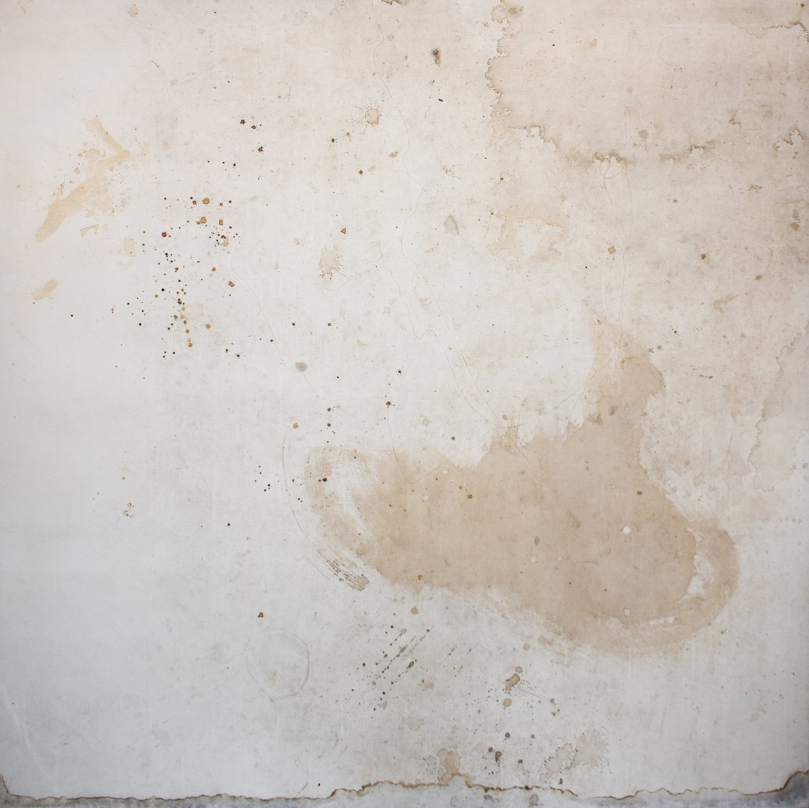Jonathan White (1960): Portrait of E. Siegel, 1991: Jonathan White (1960) Portrait of E. Siegel, 1991 Footprints, canvas, varnish, and wood Signed, dated, and titled on verso Provenance: Thomas Solomon's Garage, Los Angeles, CA; From the collection of 