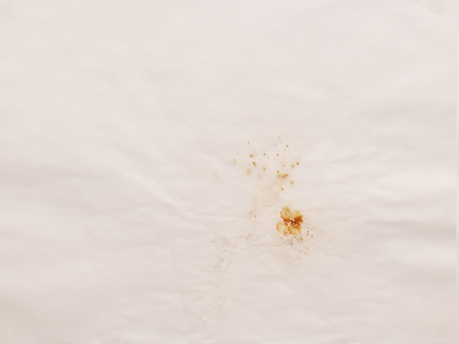 Jonathan White (1960): Untitled, 1994 (1 of 3)