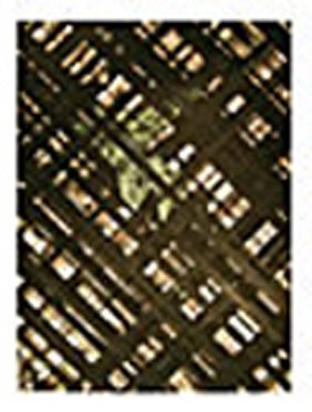 Ed Moses: Untitled: Ed Moses: Untitled, 1977, Charcoal, Indian ink and acrylic gouache on paper, Image: 39 1/2 x 29 1/2 inches; Framed: 41 x 30 1/2 inches