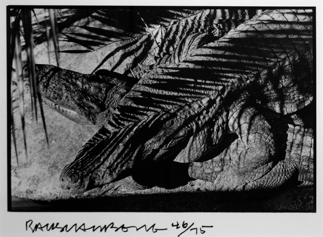 Robert Rauschenberg, Untitled (Ft. Myers), 1971/1991: Gelatin silver print From the edition of 75 Signed and numbered in ink on recto margin Image: 11 x 14 inches; Framed: 17 x 20 inches