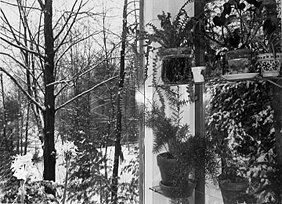 Lee Friedlander Putney, Vermont: Lee Friedlander Putney, Vermont 1972Gelatin silver printSigned, captioned and dated in pencil; with artist address and copyright stamp on versoIllustrated in Lee Friedlander Photographs, Plate number