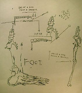 Jean Michel Basquiat Untitled