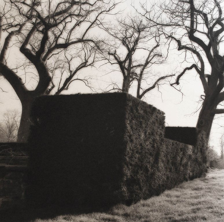 Lynn Geesaman (1 of 1)