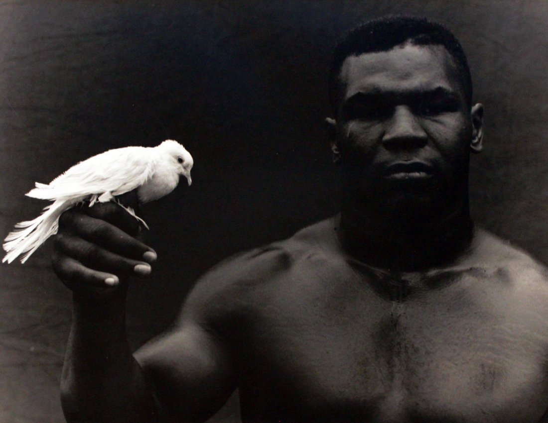 Michel Comte (Born 1954) : Michel Comte (Born 1954) Mike Tyson, 1992 Gelatin silver print Signed and dated in pencil on recto Image: 10 x 12.25 inches; Sheet: 11 x 14 inches; Framed: 18 x 20 inches