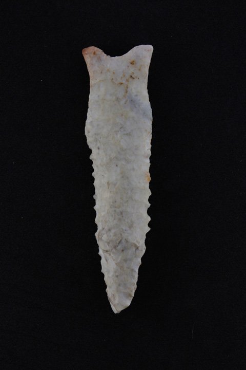 Dalton Point (1 of 4)