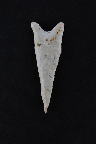 Dalton Point (1 of 1)