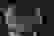 item-58420064=7