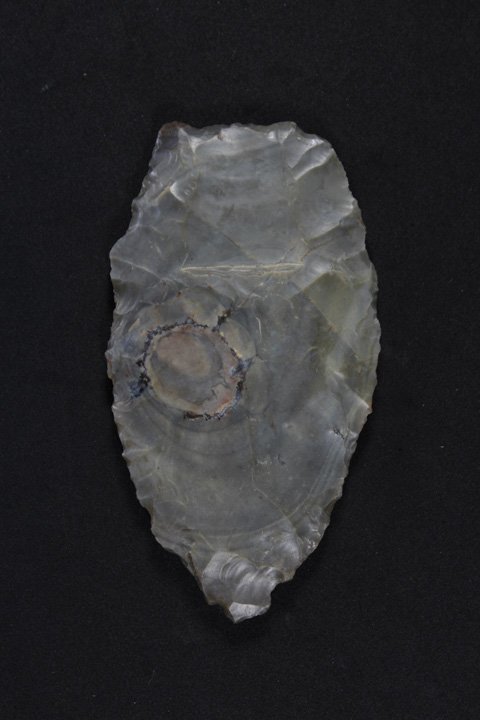 Clovis Point (1 of 6)