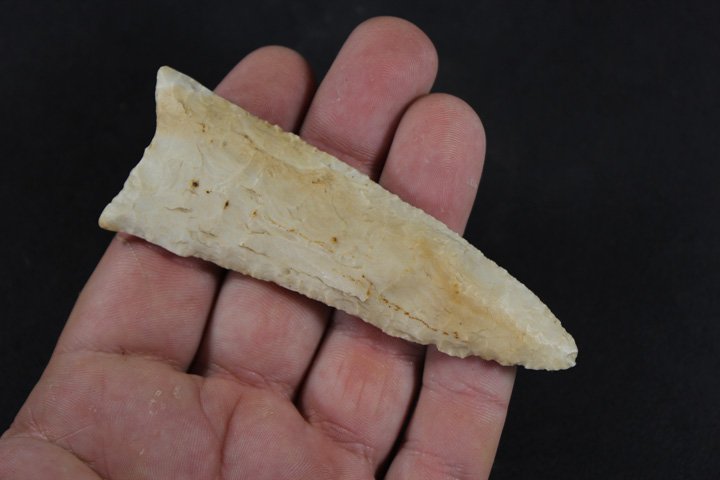 Dalton Point (1 of 4)