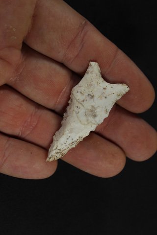 Dalton Point (1 of 4)