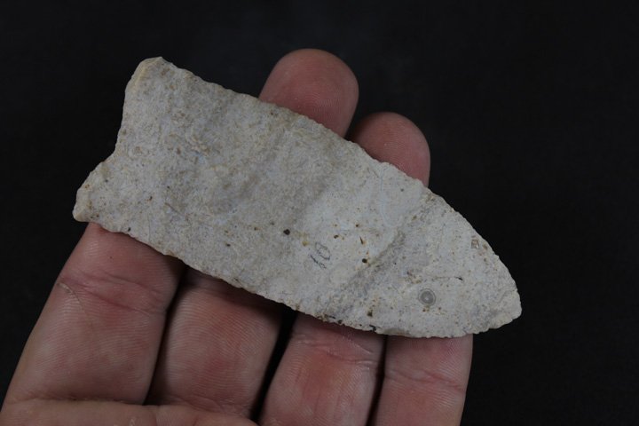 Dalton Point (1 of 4)