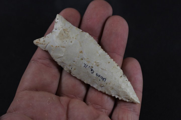 Dalton Point (1 of 4)