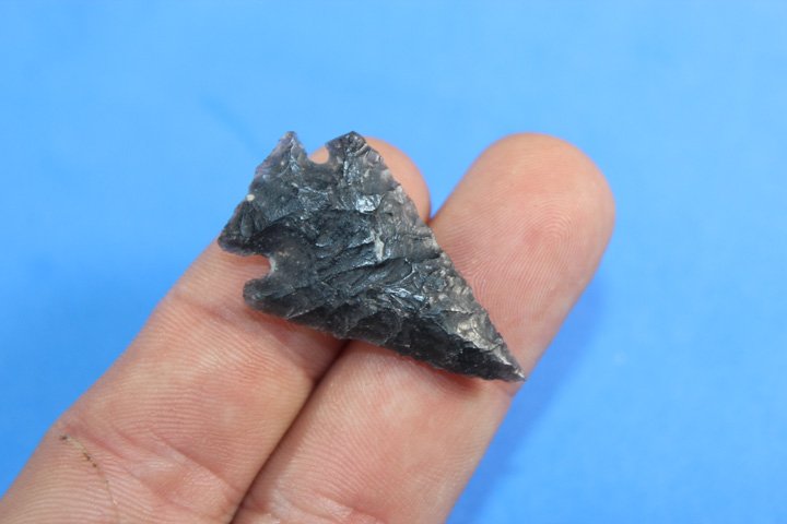 Bird Point: Bird point, Size: 1.50" long .89" wide. From Warm Springs Valley Oregon 1920's - 1930's Ex Byron Anderson Collection.