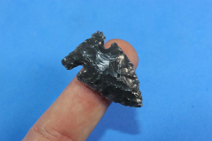 Bird Point: Bird point, Size: 1.46" long .91" wide. From Warm Springs Valley Oregon 1920's - 1930's Ex Byron Anderson Collection.