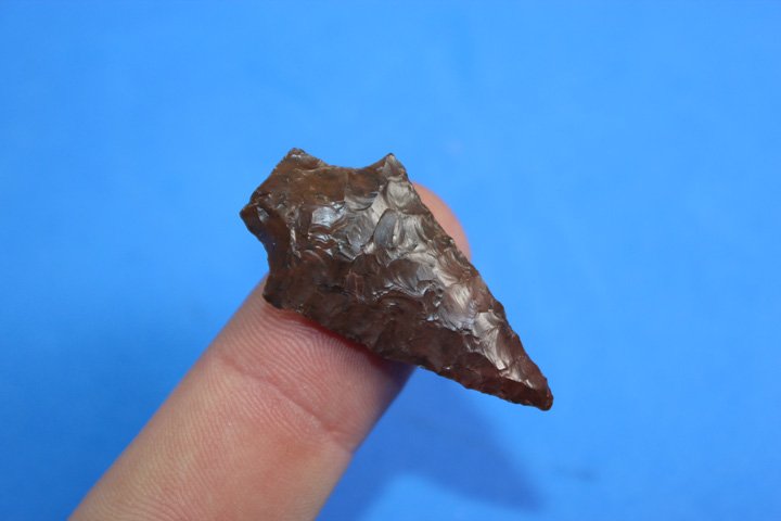 Columbia River Bird Point (1 of 4)