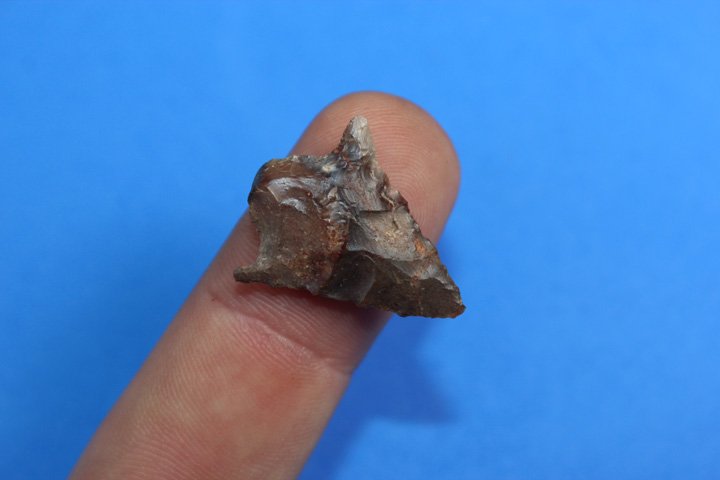 Columbia River Bird Point (1 of 4)