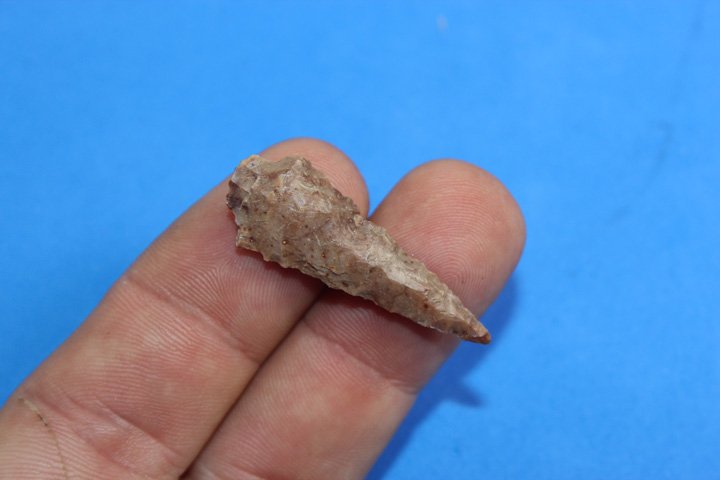 Columbia River Bird Point (1 of 4)