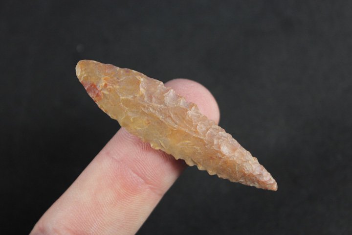 Neolithic Bird Point -  Saharan Africa (1 of 3)