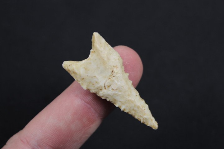 Dalton Point (1 of 4)