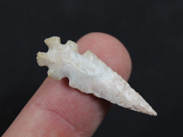 Rare South West Bird Point (1 of 3)