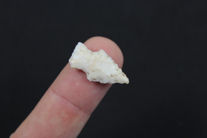 Bird Point - Mid west (1 of 3)