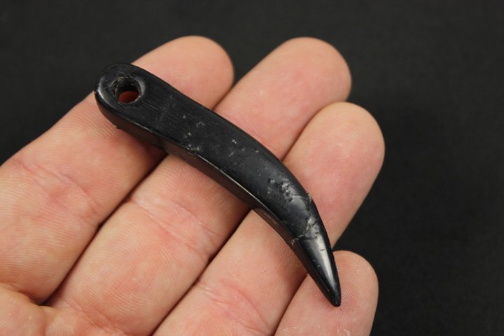 Rare Canal Coal Claw Effigy Pendant (1 of 5)