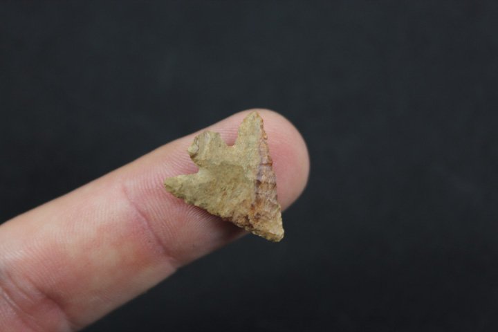 Washington Bird Point - Spokane River (1 of 4)