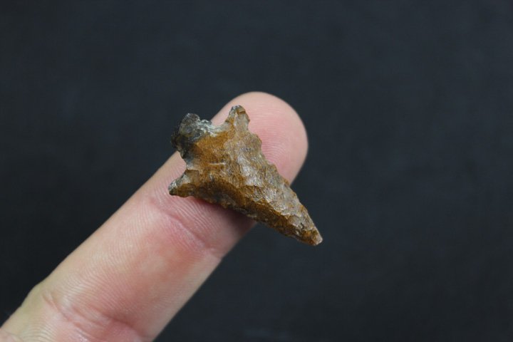 Columbia River Gem Point (1 of 3)