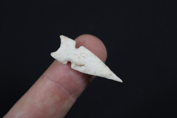 South West Bird Point (1 of 5)