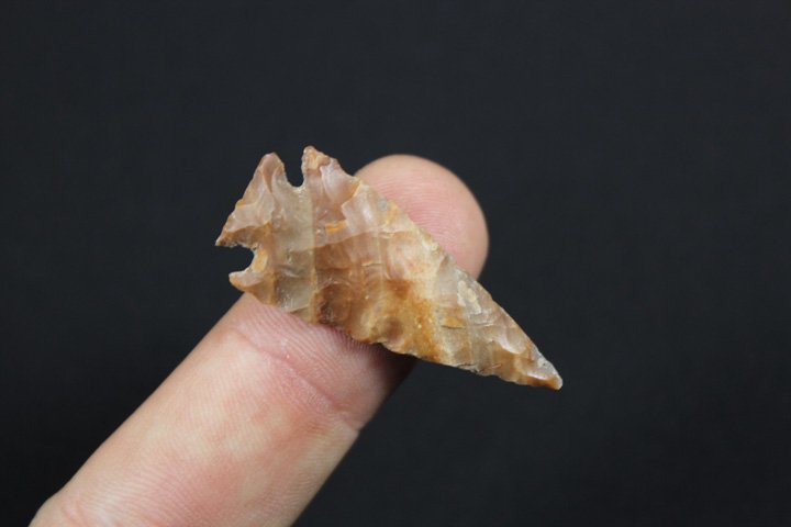 South West Bird Point (1 of 4)