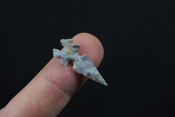 South West Bird Point (1 of 4)