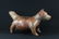Colima Pottery Dog, Mexico, c. 100 B.C. - 250 A.D