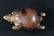 Colima Pottery Dog, Mexico, c. 100 B.C. - 250 A.D - 5