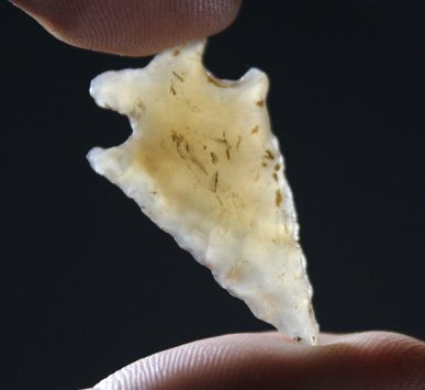 Bird Point - Washington (1 of 5)