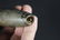 Steatite Tube Pipe - California - 4