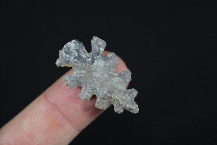 Eccentric Point - Missouri (1 of 5)