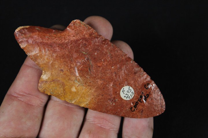 Amazing Dixon Point (1 of 7)