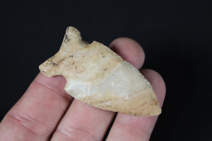 Side Notched Point (1 of 5)