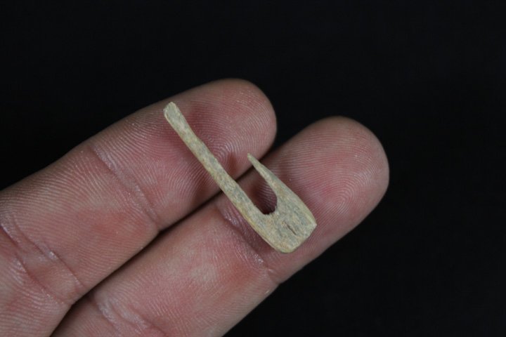 Early Bone Fish Hook: Early Bone Fish Hook, Size: 1.23" long .33" wide, found in Kentucky. Ex Byron Anderson collection how is in Who's who's in Indian artifact vol. 2
